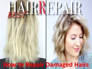 how to repair damaged hairs