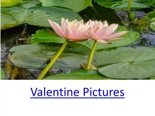 Happy Valentines Day Pictures GIF Videos