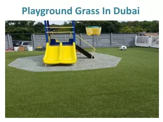Playground Grass In Dubai