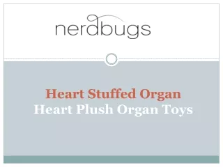Heart Stuffed Organ - Heart Plush Organ Toys