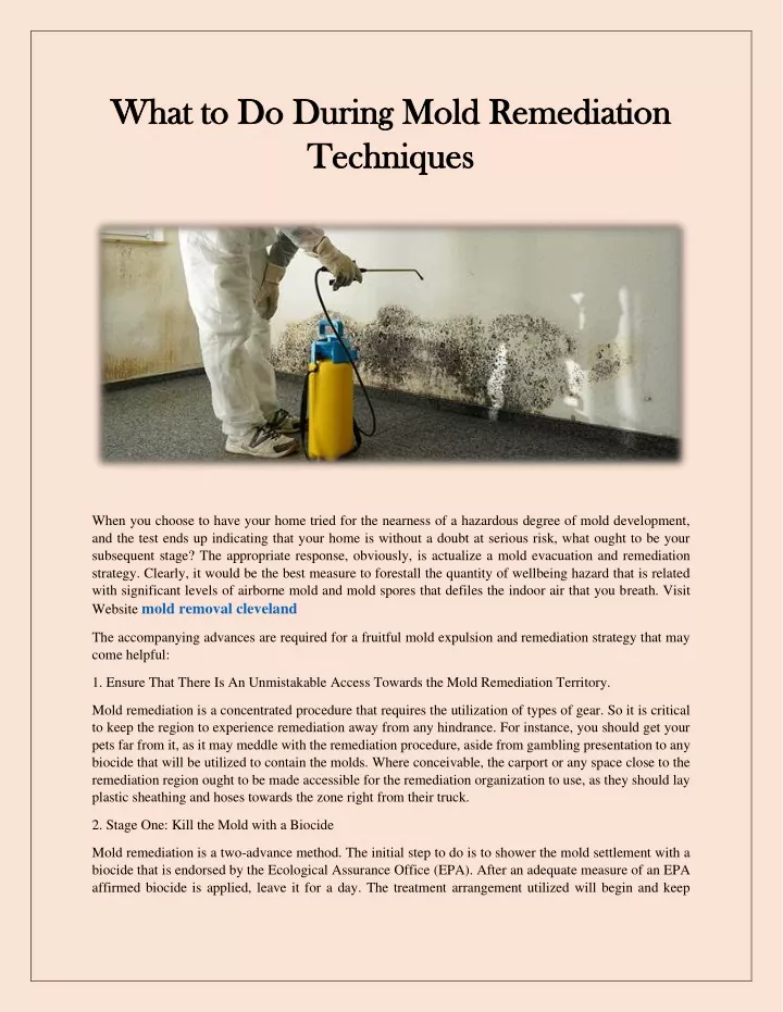 what to do during mold remediation what