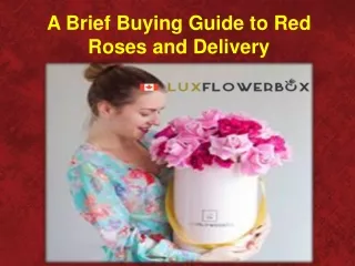 A Brief Buying Guide to Red Roses and Delivery