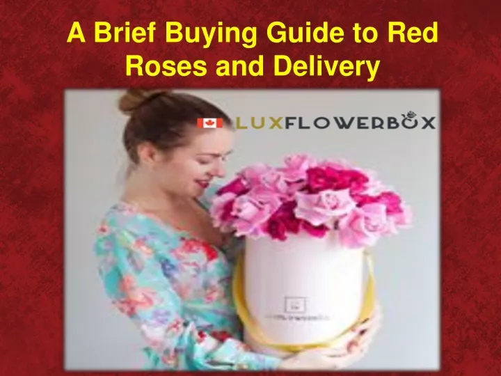 a brief buying guide to red roses and delivery