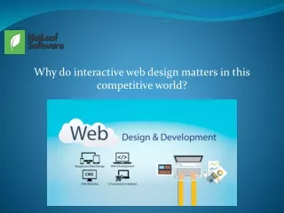 why do interactive web design matters in this