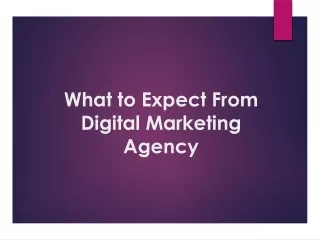 what to expect from digital marketing agency