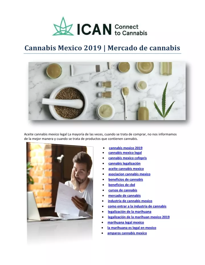 cannabis mexico 2019 mercado de cannabis
