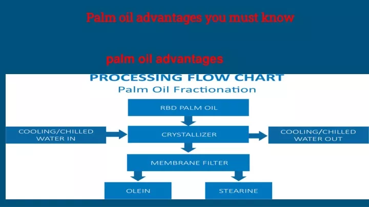 palm oil advantages you must know