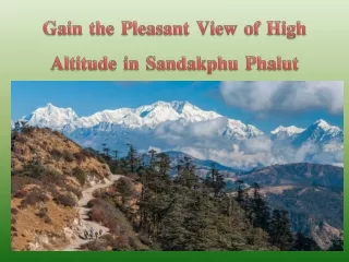 Gain the Pleasant View of High Altitude in Sandakphu Phalut