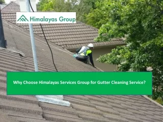 Why Choose Himalayas Services Group for Gutter Cleaning Service?