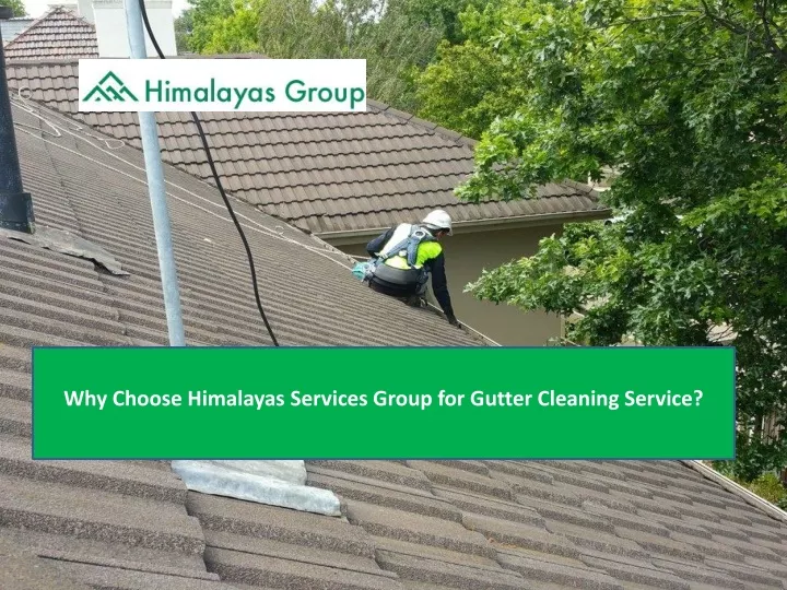 why choose himalayas services group for gutter
