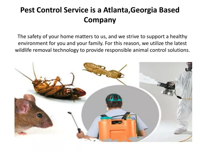 pest control service is a atlanta georgia based company