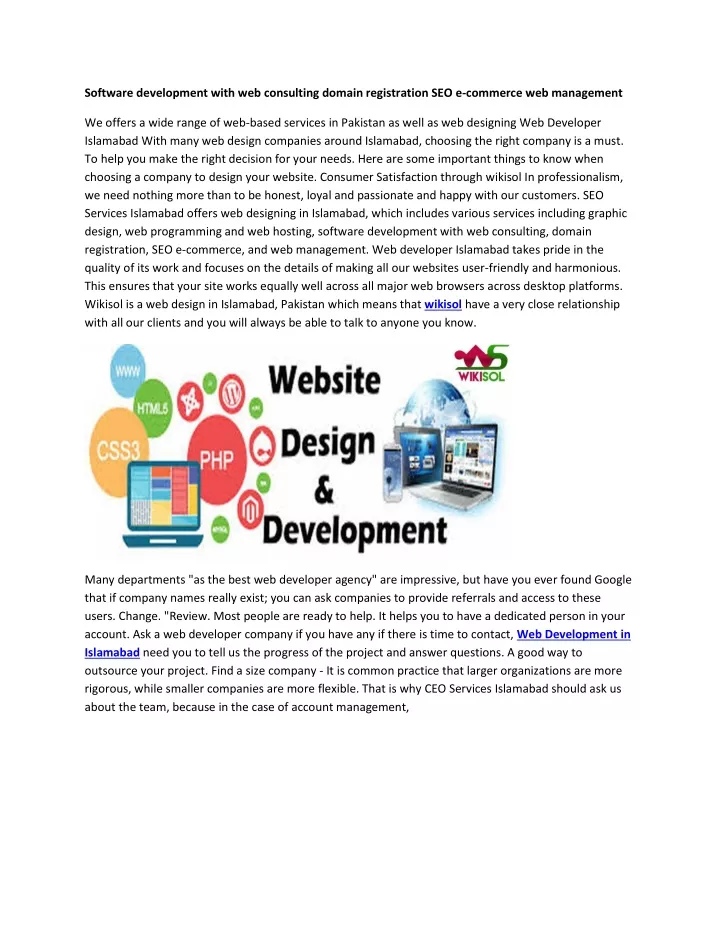 software development with web consulting domain