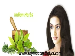 Best Indian herbs exporter, supplier and manufacturer
