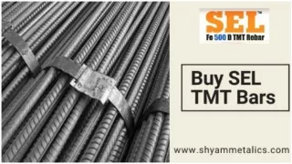 Affordable SEL Steel from Best Steel Manufacturer India - Shyam Metalics