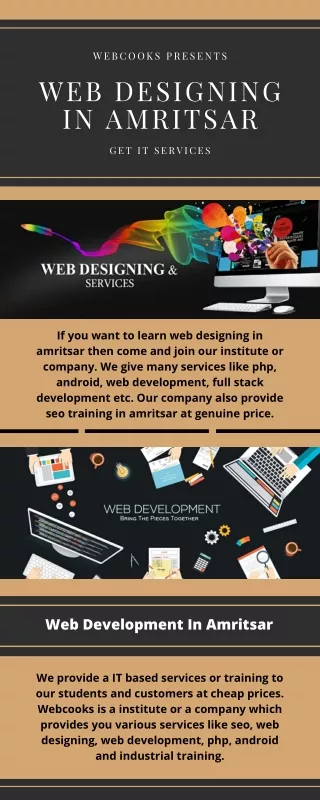Web Designing In Amritsar