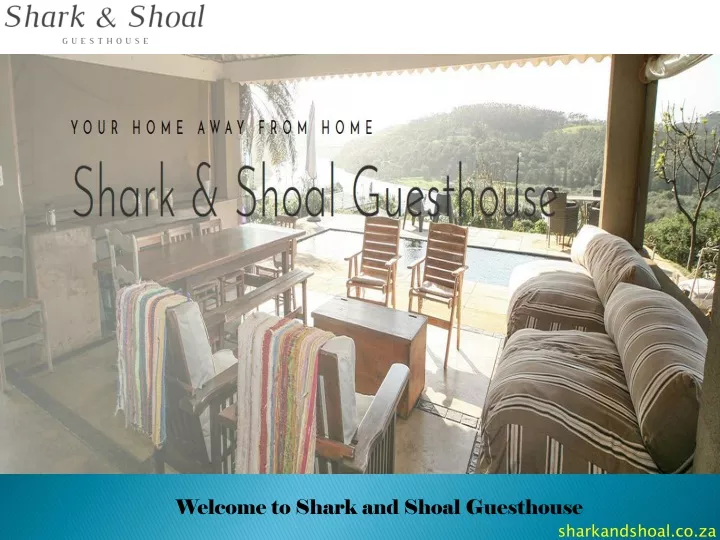 welcome to shark and shoal guesthouse
