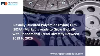 Biaxially Oriented Polyamide (Nylon) Film (BOPA) Market Forecasts to 2026