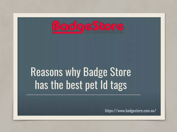 reasons why badge store has the best pet id tags