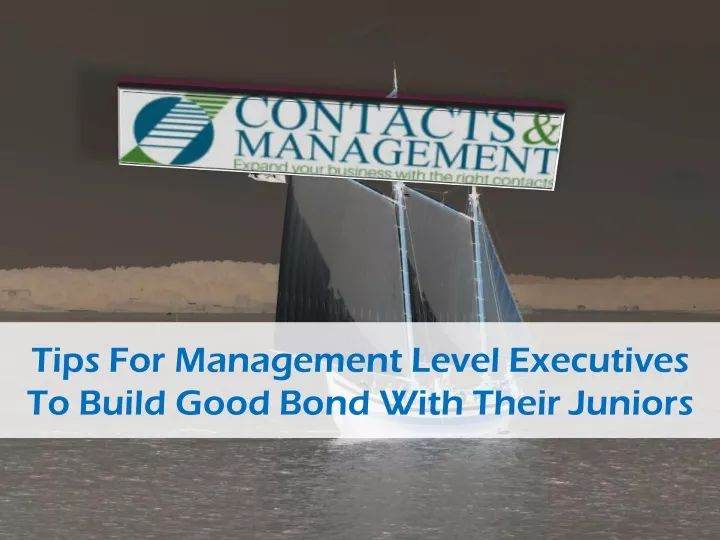 tips for management level executives to build