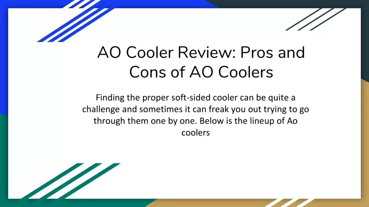 ao cooler review pros and cons of ao coolers