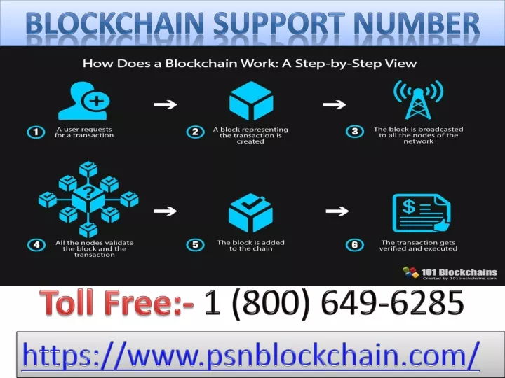 blockchain support number