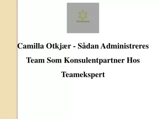 Camilla Otkjær - Sådan Administreres Team Som Konsulentpartner Hos Teamekspert