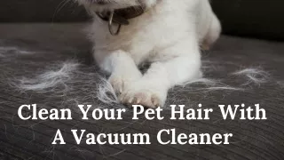 Clean Your Pet Hair With A Vacuum Cleaner