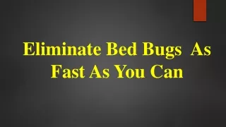 Bed Bugs Services Singapore