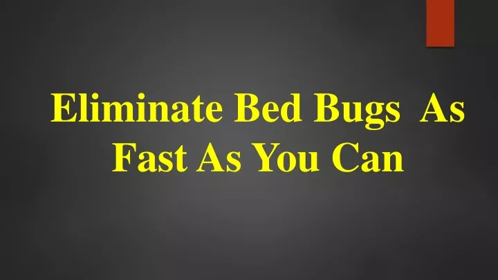 eliminate bed bugs as fast as you can