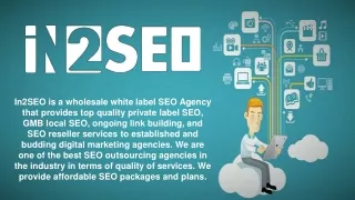 White Label SEO Services Company - In2SEO