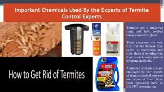 Important Chemicals Used By the Experts of Termite Control Experts