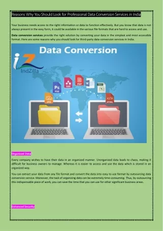 Reasons Why You Should Look for Professional Data Conversion Services in India