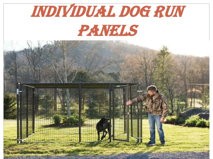 individual dog run panels