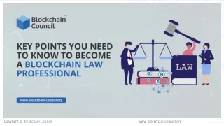 Key points you need to know to become a Blockchain law professional