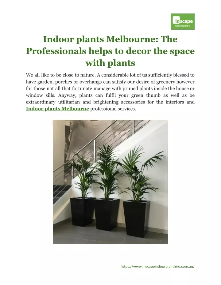 indoor plants melbourne the professionals helps