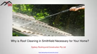 Why is Roof Cleaning in Smithfield Necessary for Your Home?