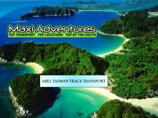 Top Abel Tasman Track Transport in New Zealand