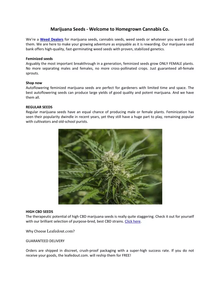 marijuana seeds welcome to homegrown cannabis co