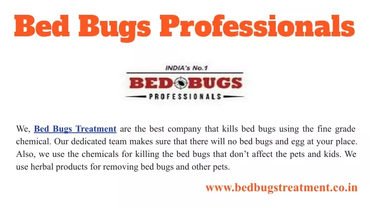 bed bugs professionals