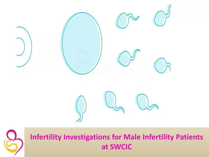 infertility investigations for male infertility