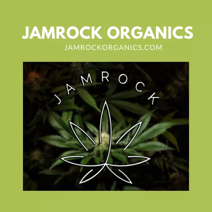 jamrock organics jamrockorganics com
