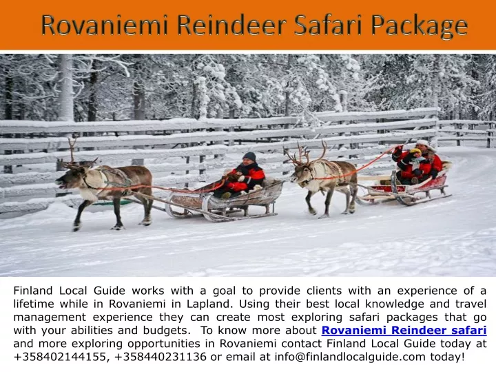 rovaniemi reindeer safari package
