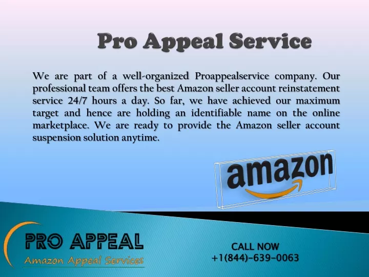 pro appeal service