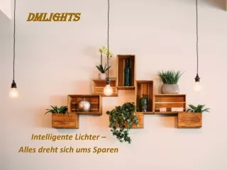 dmlights