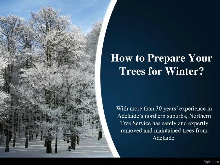 how to prepare your trees for winter