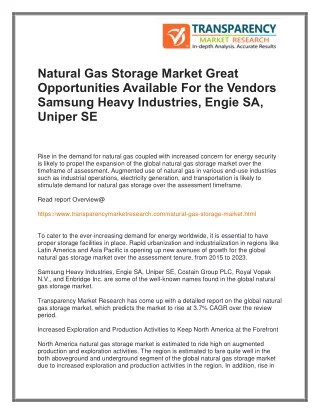 Natural Gas Storage Market Great Opportunities Available For the Vendors Samsung Heavy Industries, Engie SA, Uniper SE