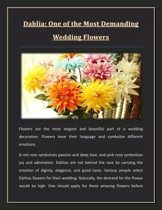 Dahlia: One of the Most Demanding Wedding Flowers