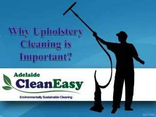 Why Upholstery Cleaning is Important?