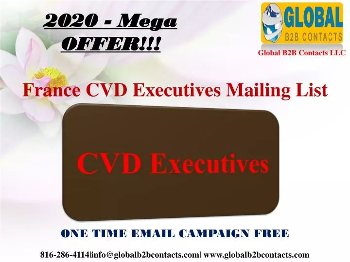 2020 mega offer