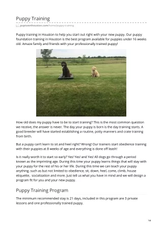 Dog Training in  Houston